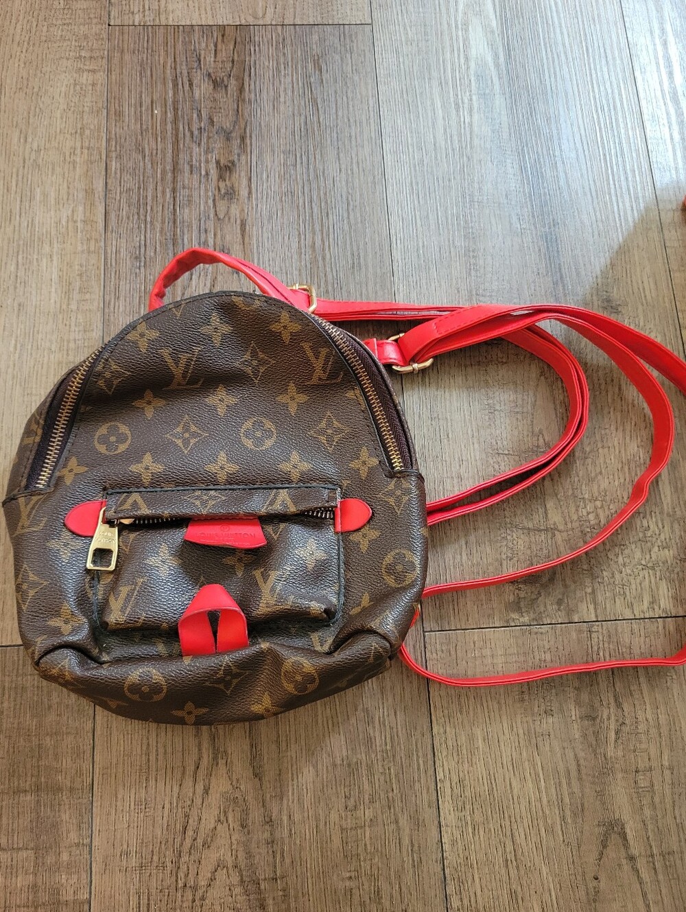 Louis V Kids Backpack